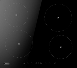 Induktionsfeld Reparatur Teterow